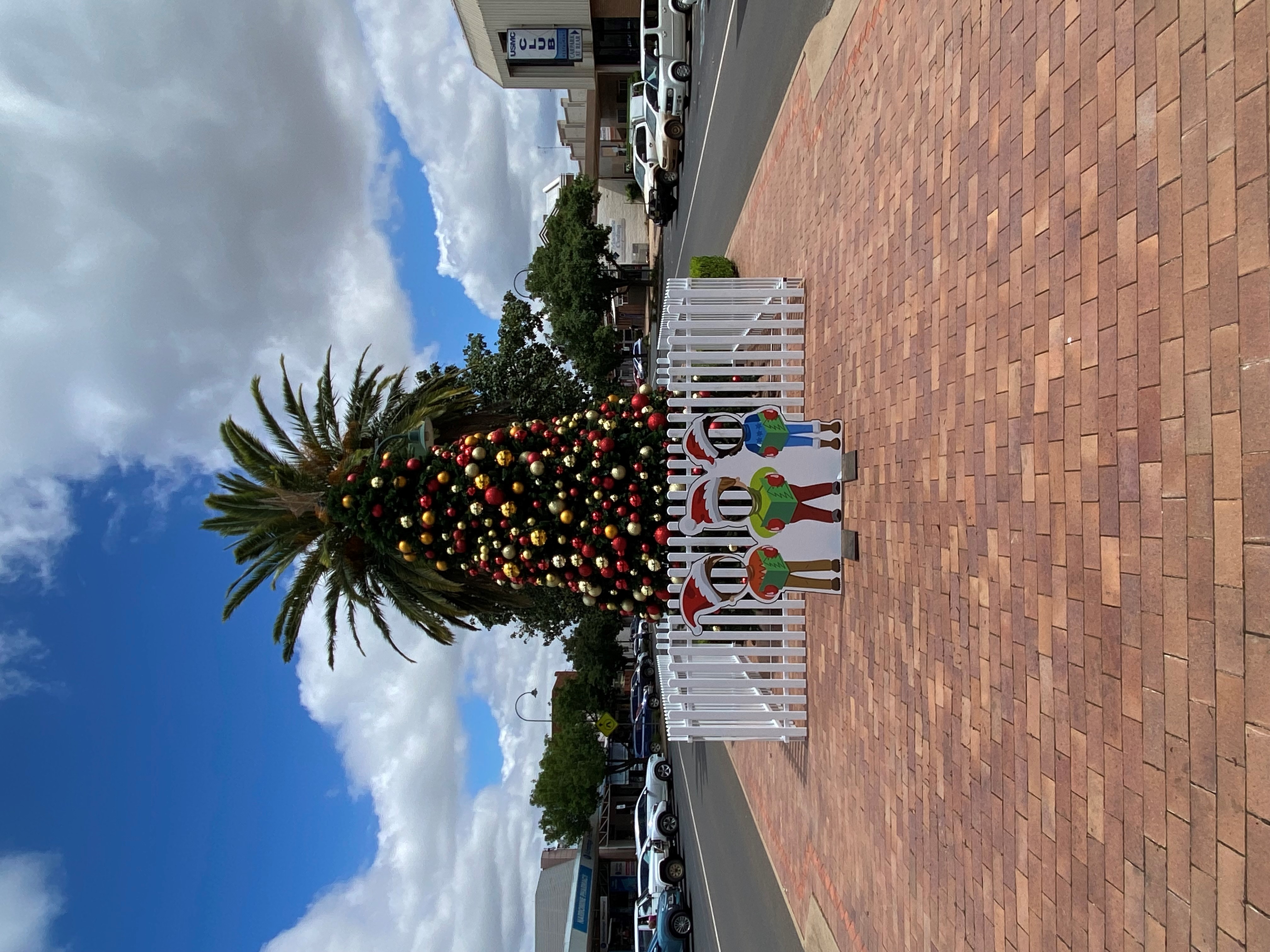 Media Release - Christmas is all around us and so the feeling grows